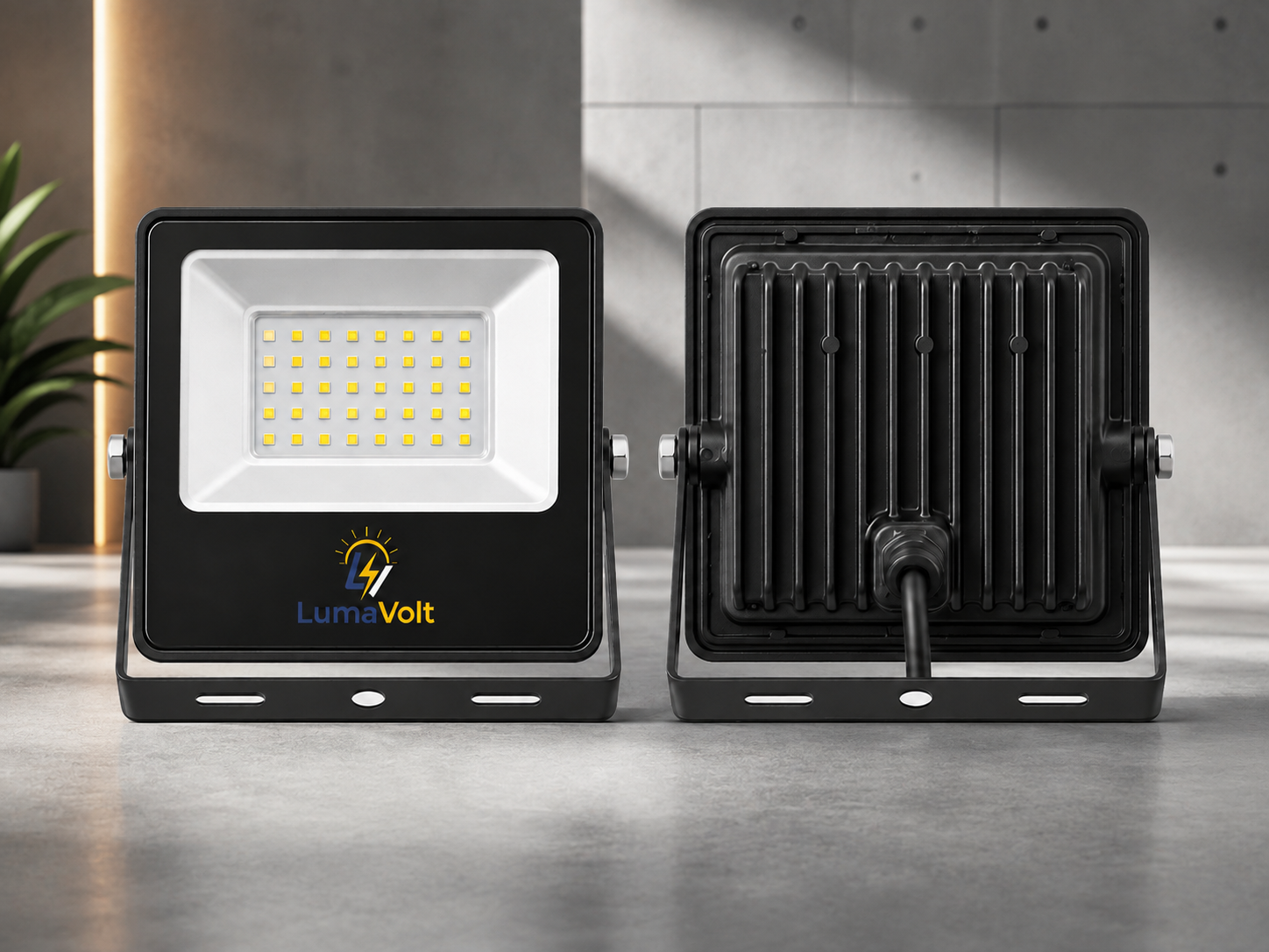 LED Flood Light